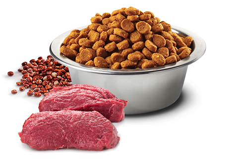 Venison dog food