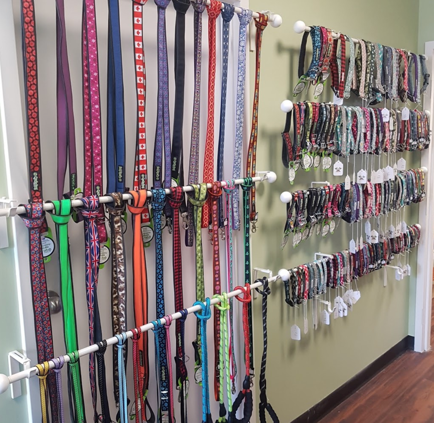Dog collar shop store near me