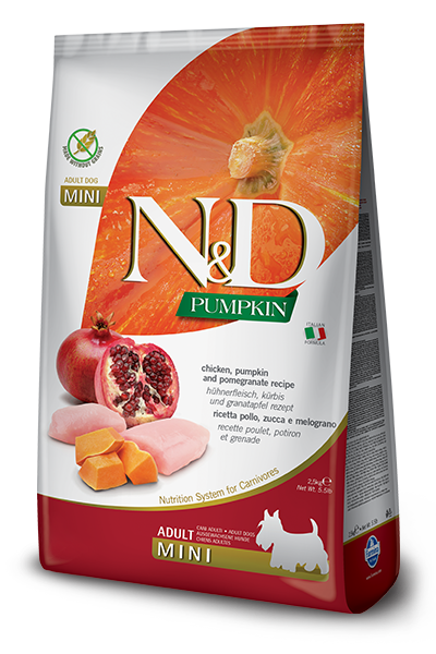 Nd pumpkin 2025 puppy mini