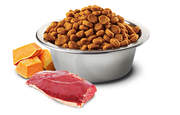 Farmina N&D Duck, Pumpkin and Cantaloupe for Cats (4789793914939)