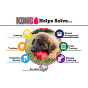 Kong Classic (4355815899195)