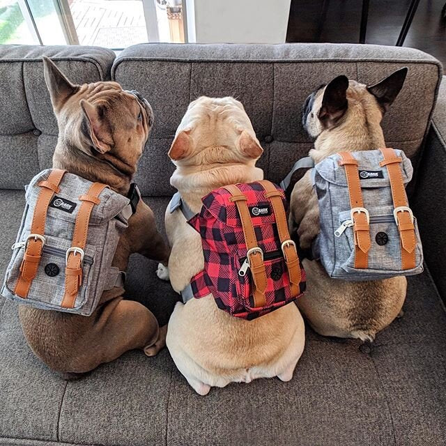 Bark Industry Dog Backpacks (5239096344730)