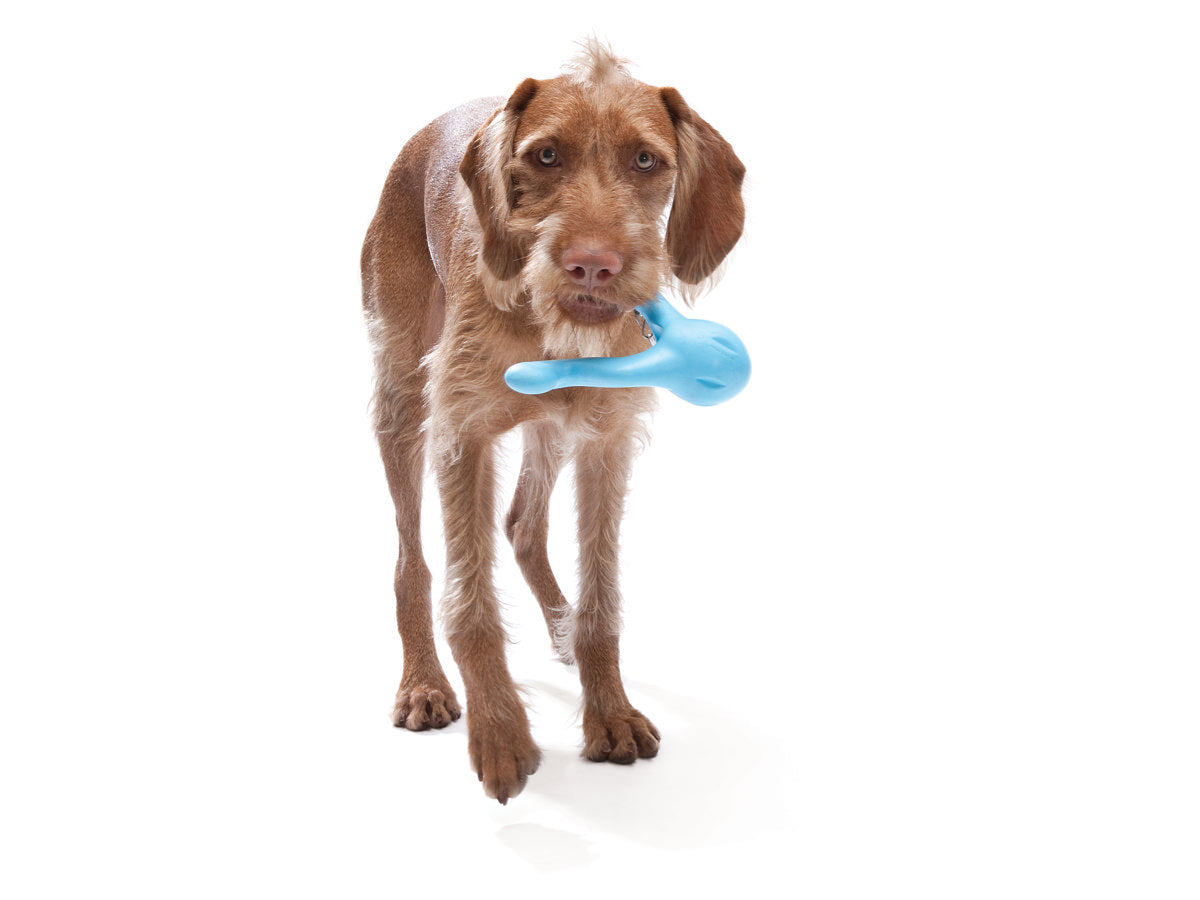 West Paw Tizzi (4355581509691)