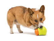 West Paw Toppl (4355543531579)