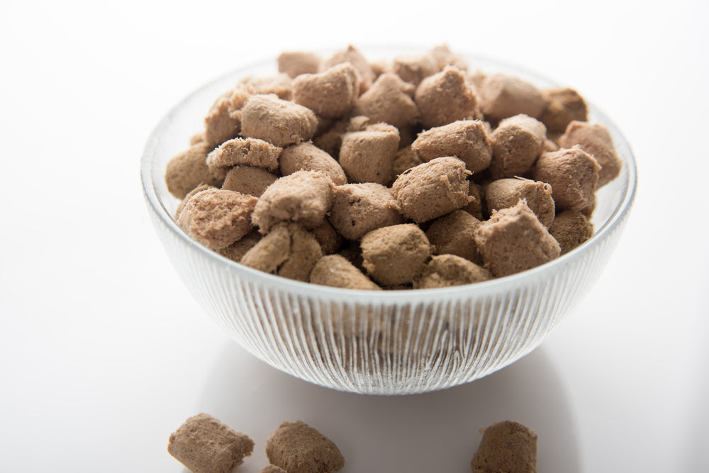 The Pawsome Pantry: Exploring Calgary's Best Pet Food Options!