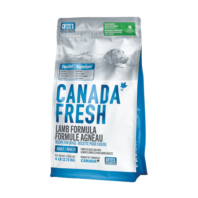 How to Transition Your Dog’s Kibble: A Step-by-Step Guide