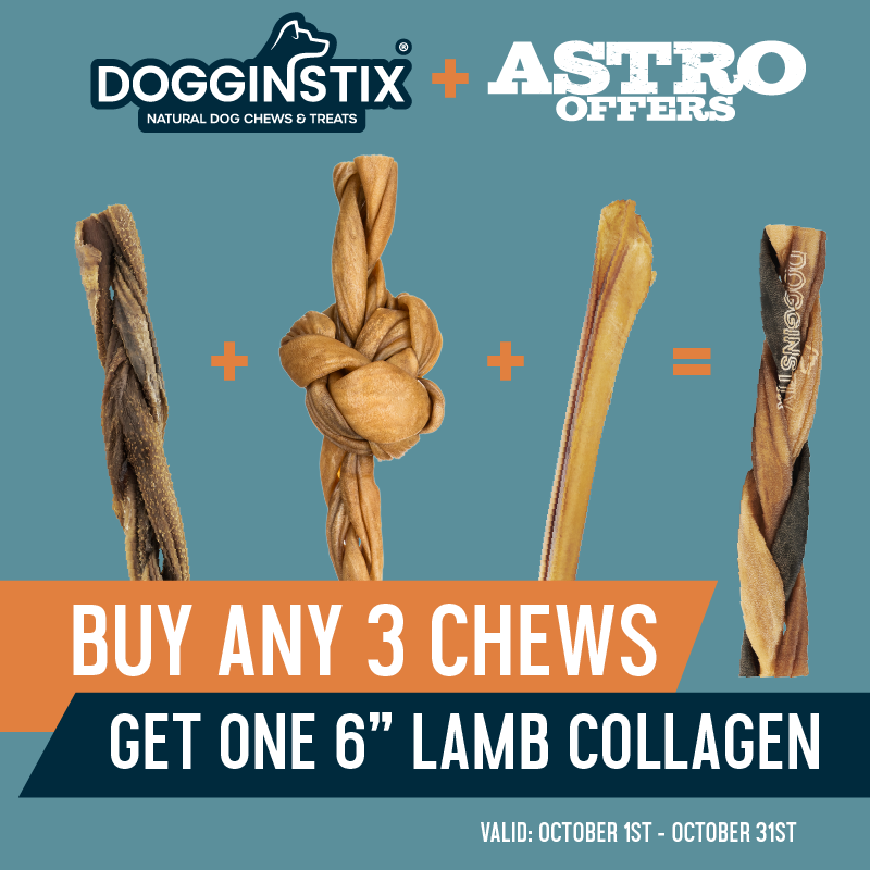 Dogginstix Chews