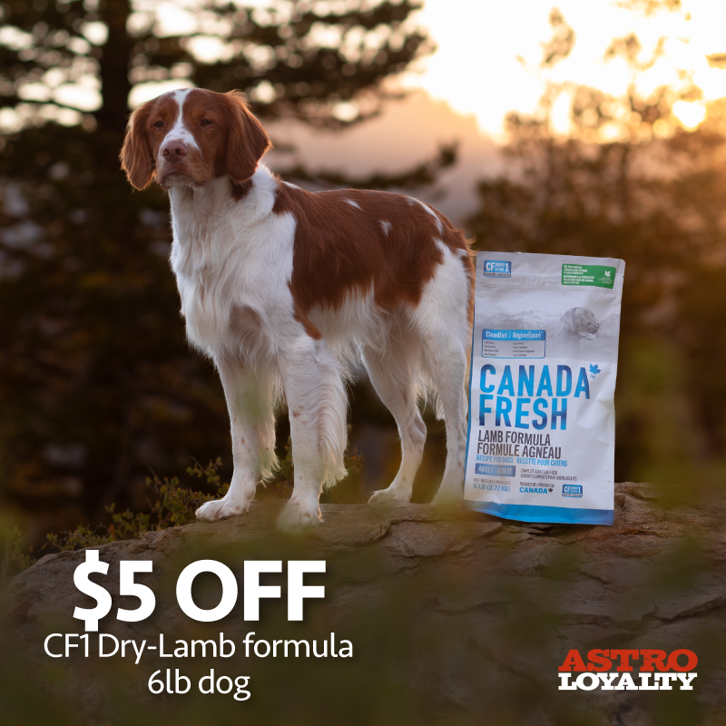 CanadaFresh Lamb