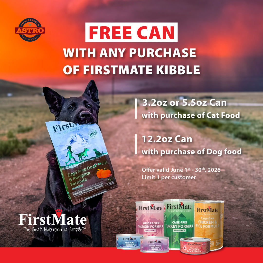 First Mate