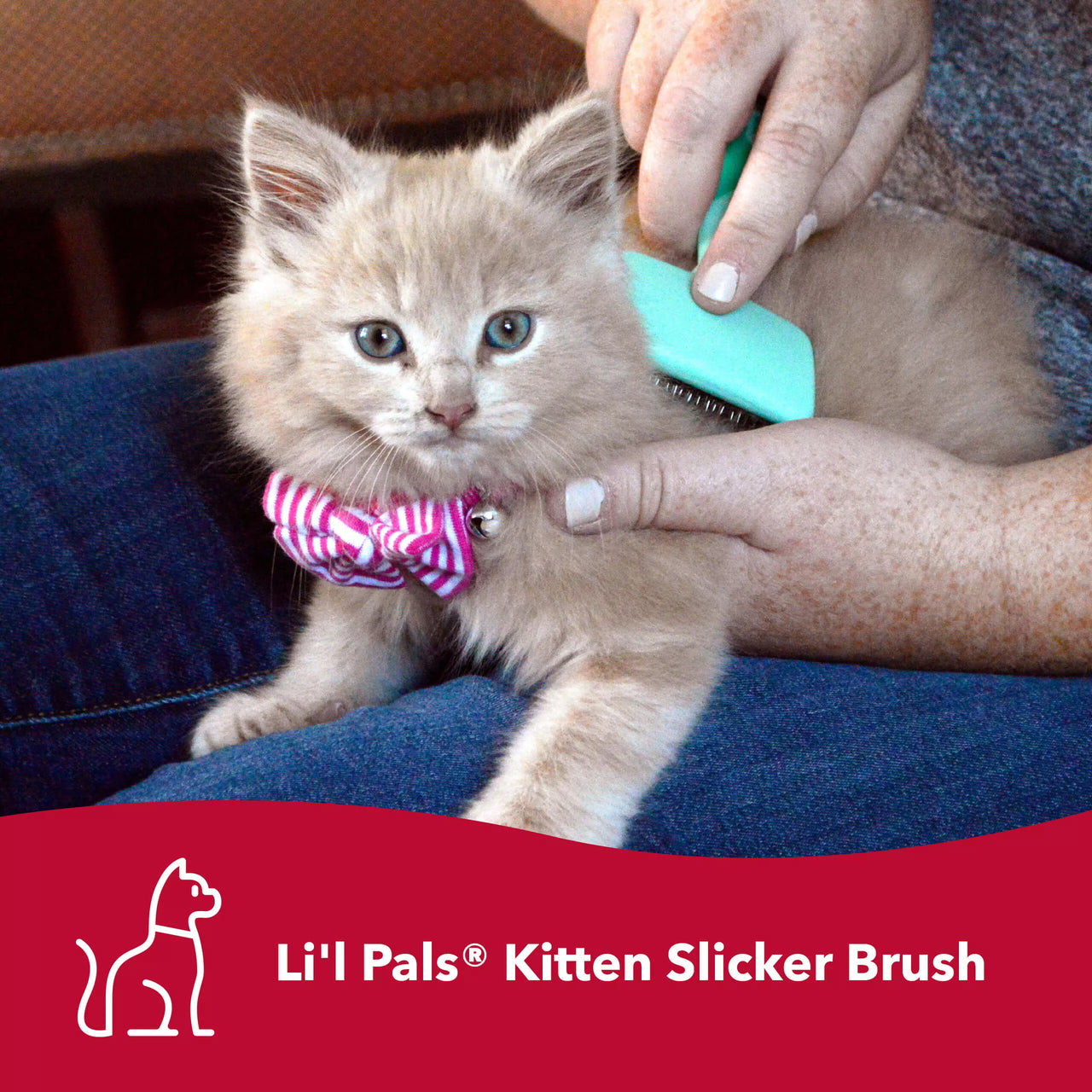 Li'l Pals Kitten Slicker Brush w/Coated Tips