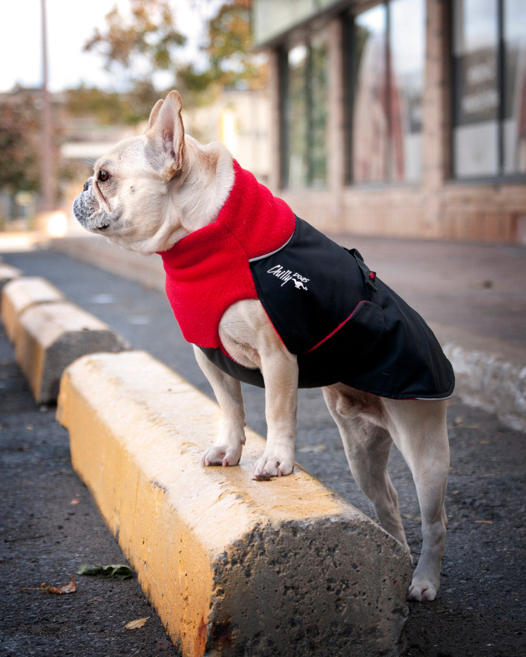 Chilly Dogs Jacket Great White North Broad & Burly Fit