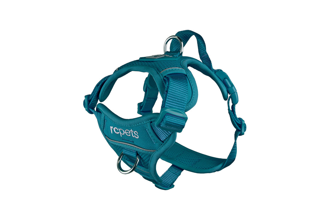RC Pets Dog Momentum Harness