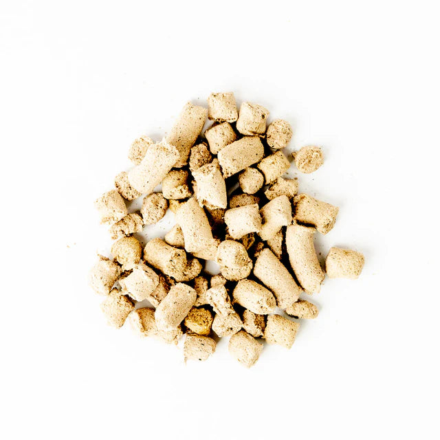 Green Juju Salmon Blue Freeze Dried Whole Food Bites