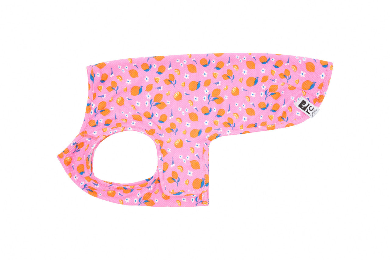 RC Pets Dog Zephyr Cooling Vest