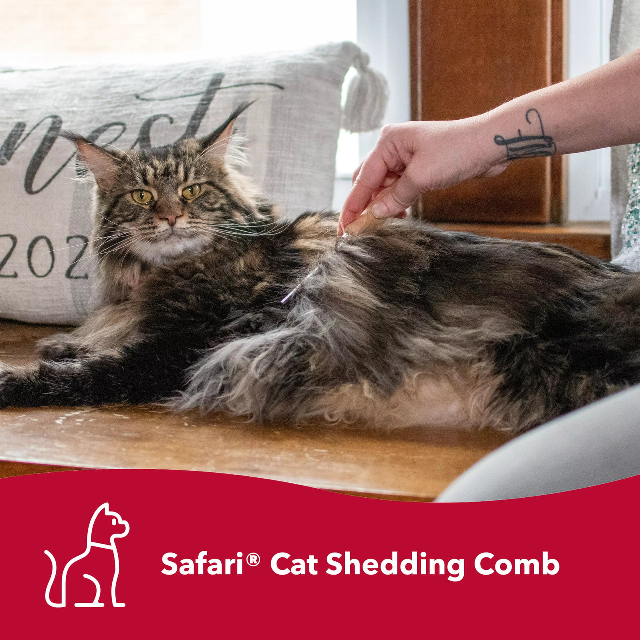 Safari® Cat Shedding Comb