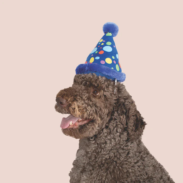 Fringe Dog Toy Summer Party Hat