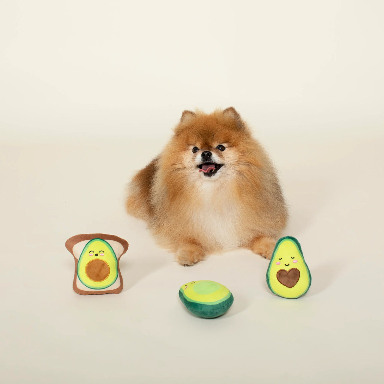 Fringe Dog Toy Avocado Love