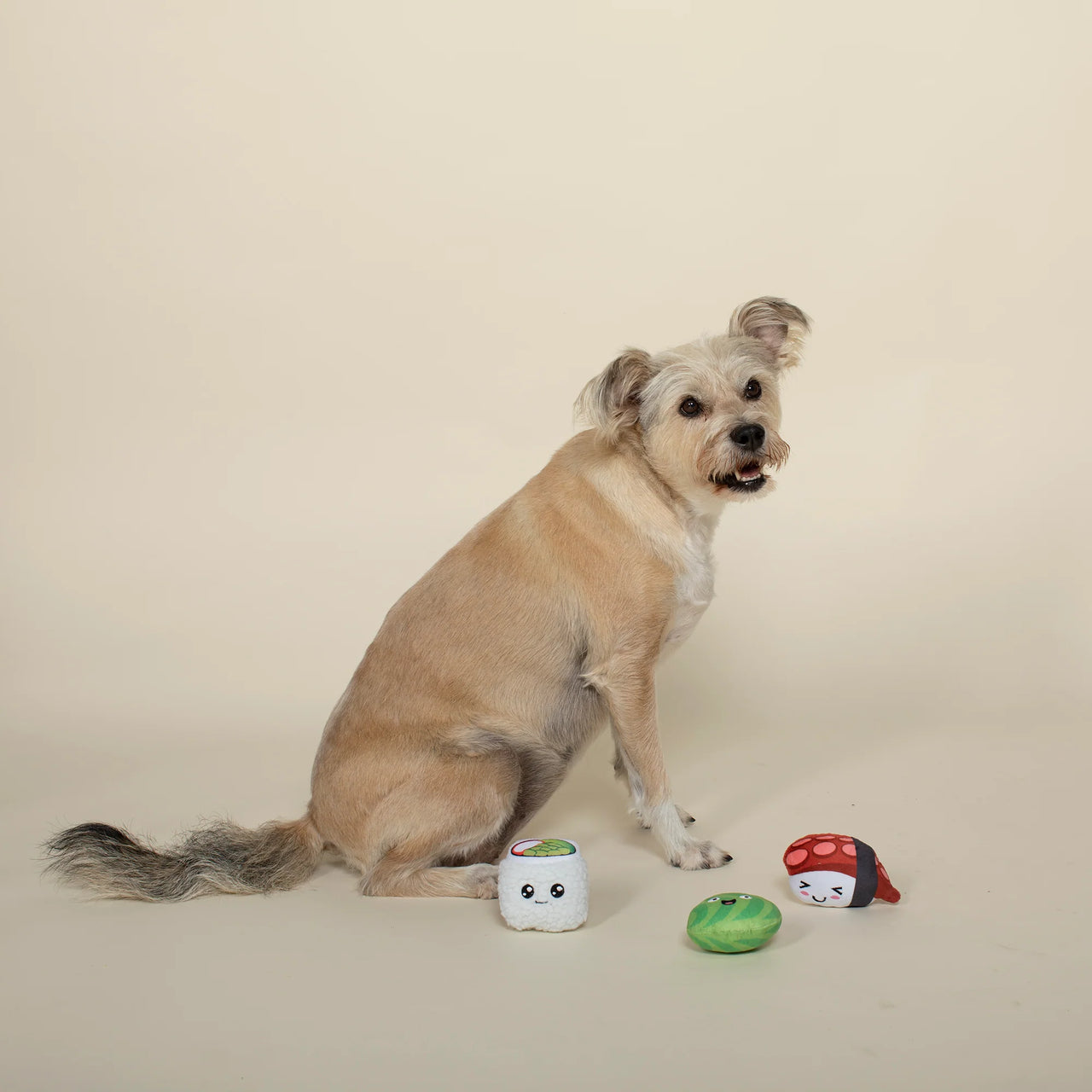 Fringe Dog Toy Sushiholic (Set of 3)