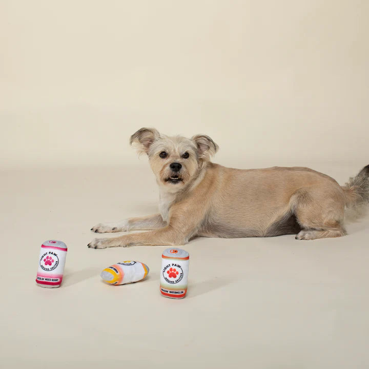 Fringe Dog Toy Light Paw Cans