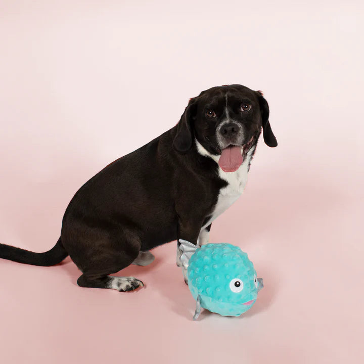 Fringe Dog Toy Puffed Up Puffer Fish