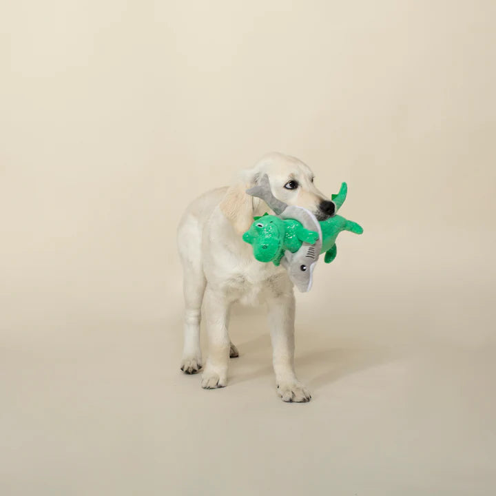 Fringe Dog Toy Shark Week Rex