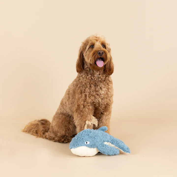 Fringe Dog Toy Oh Whale