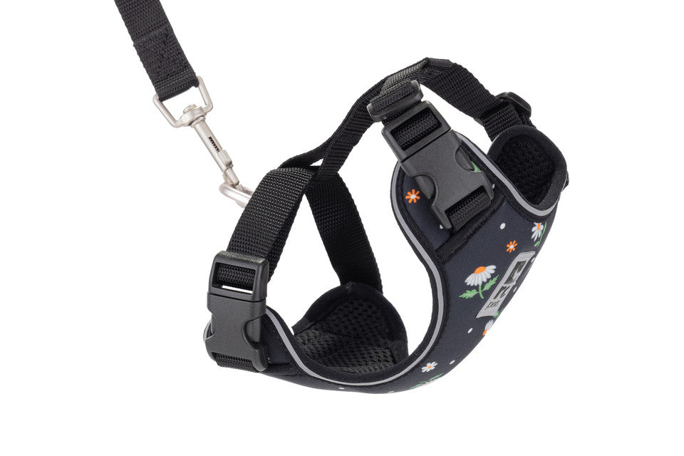 RC Pets Cat Adventure Kitty Harness