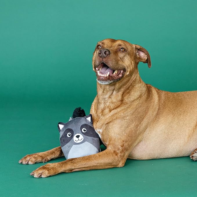Fringe Dog Toy Rocky Raccoon
