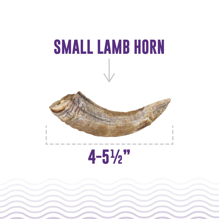 Icelandic+ Lamb Horn DSB FINAL SALE