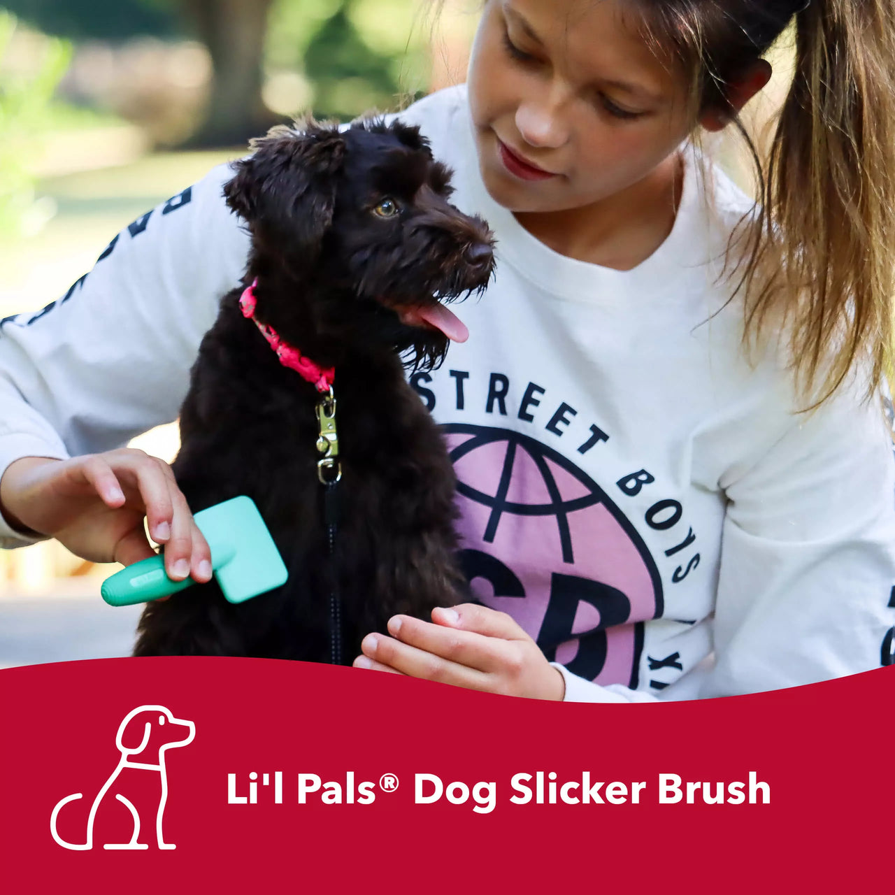 Li'l Pals Dog Slicker Brush