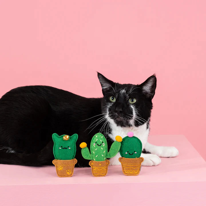 Fringe Cat Toy Cat-Us Friends