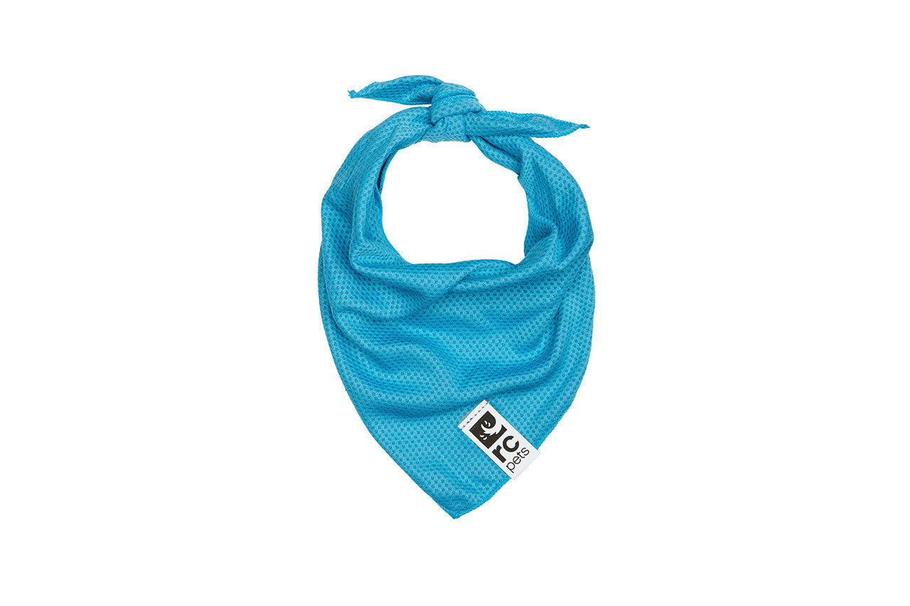 RC Pets Zephyr Cooling Bandana