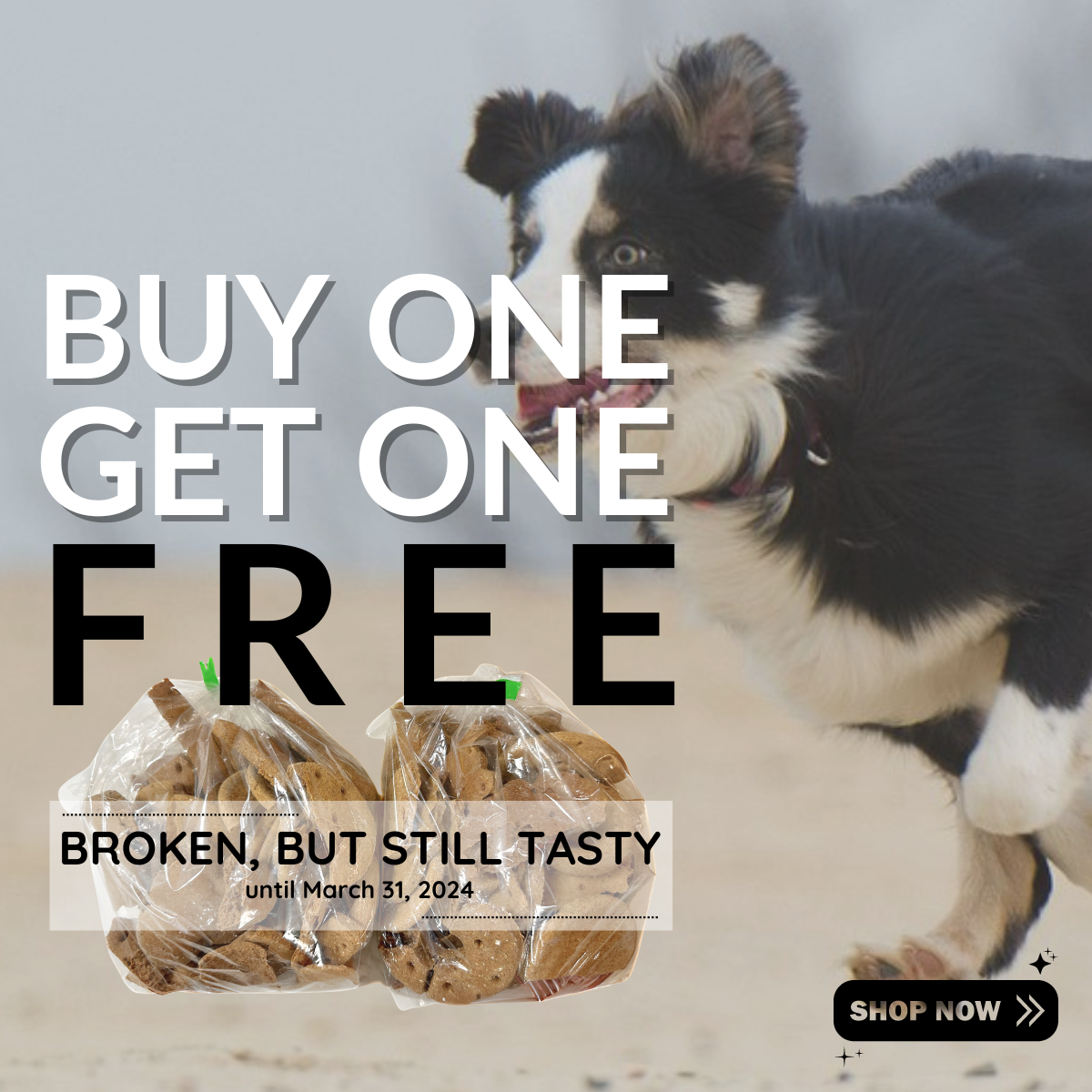 My pet warehouse frequent feeder outlet