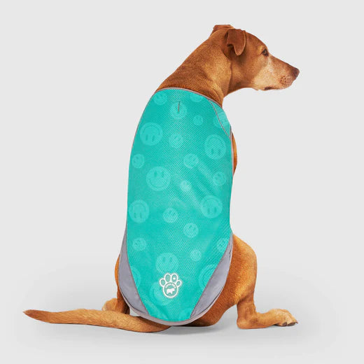 Canada Pooch Chill Seeker Cooling Vest Wet Reveal