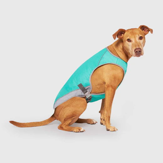 Canada Pooch Chill Seeker Cooling Vest Wet Reveal