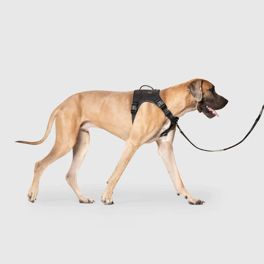 Canada Pooch Core Complete Control Harness CLEARANCE FINAL SALE