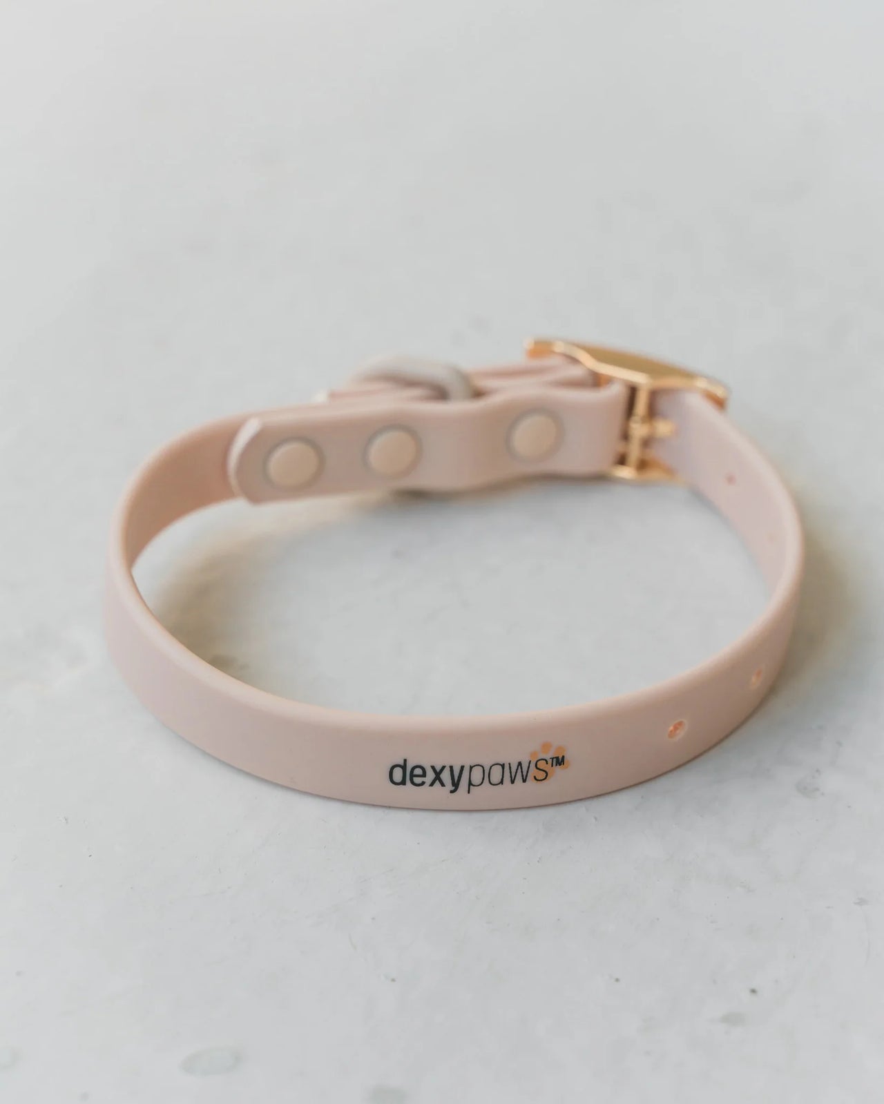 Dexypaws Waterproof Dog Collar