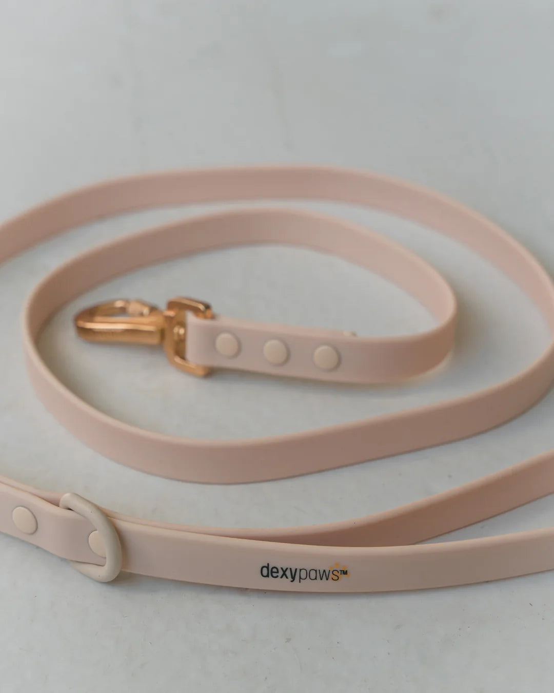 Dexypaws Waterproof Dog Leash
