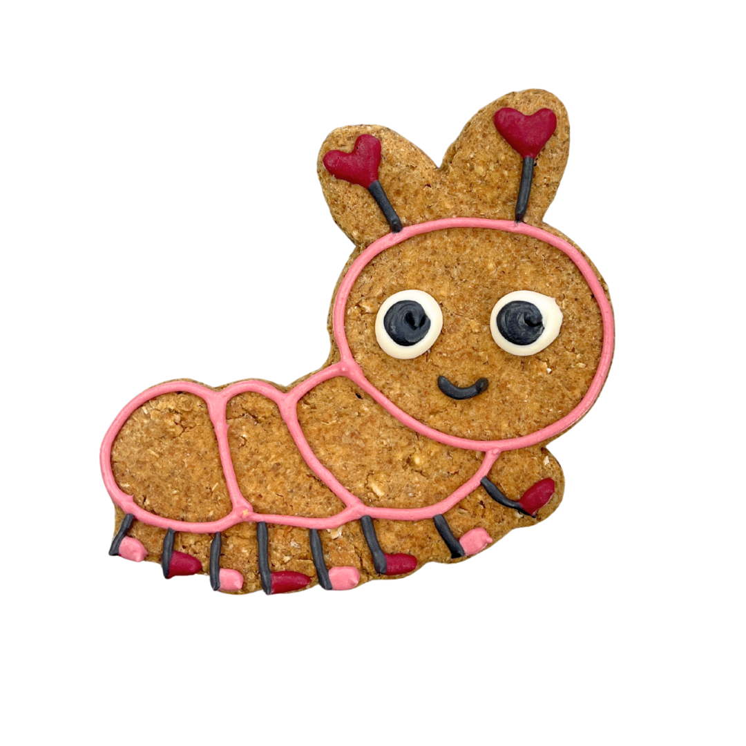 Cheddar Apple Love Bug ❤️