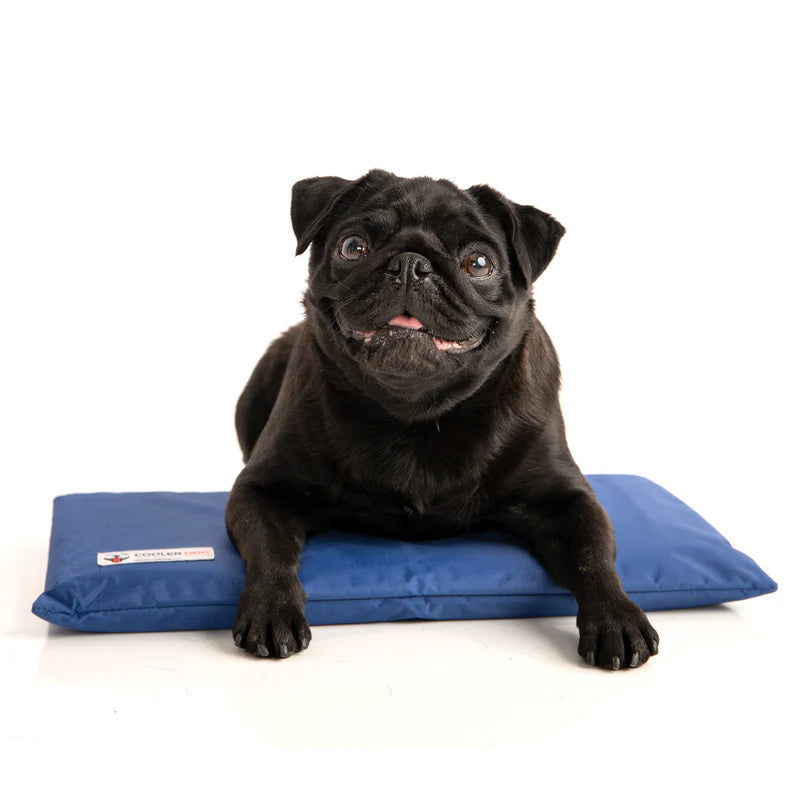CoolerDog Mini Hydro Cooling Mat