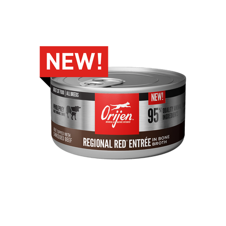 Orijen Cat Can Regional Red *SPECIAL ORDER*