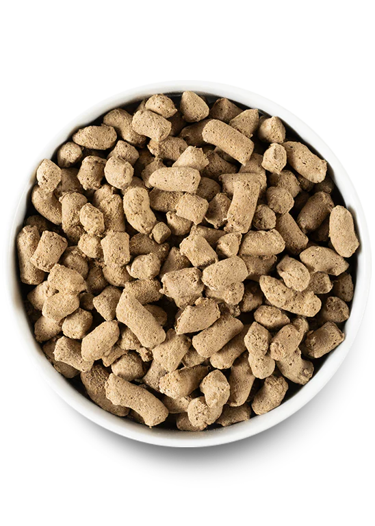 Open Farm Dog Freeze-Dried Raw Beef Morsels