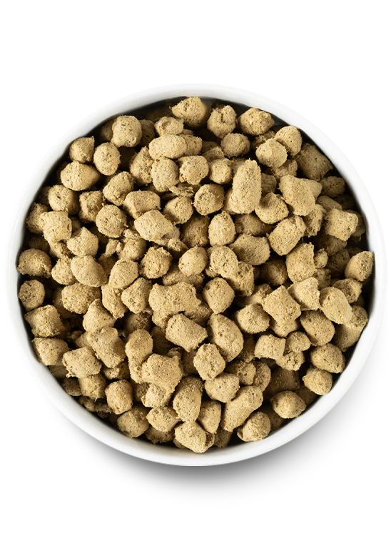 Open Farm Dog Freeze-Dried Raw Chicken Morsels