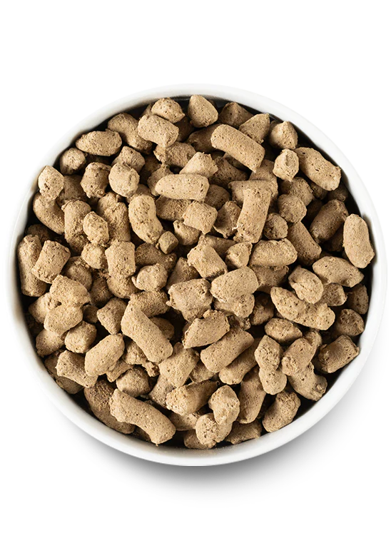 Open Farm Dog Freeze-Dried Raw Lamb Morsels