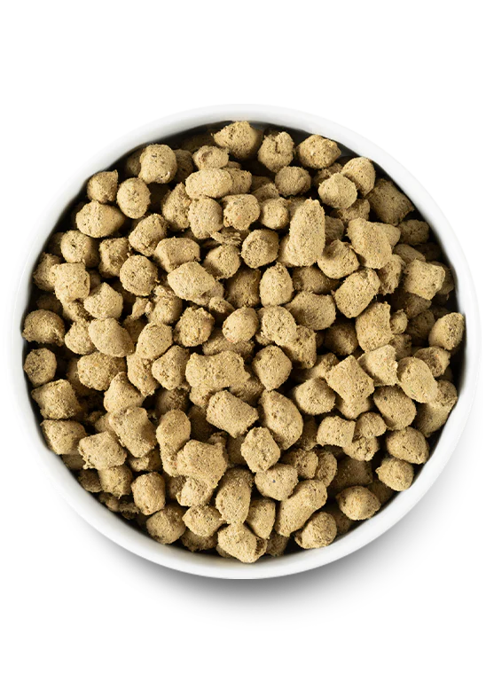 Open Farm Dog Freeze-Dried Raw Pork Morsels