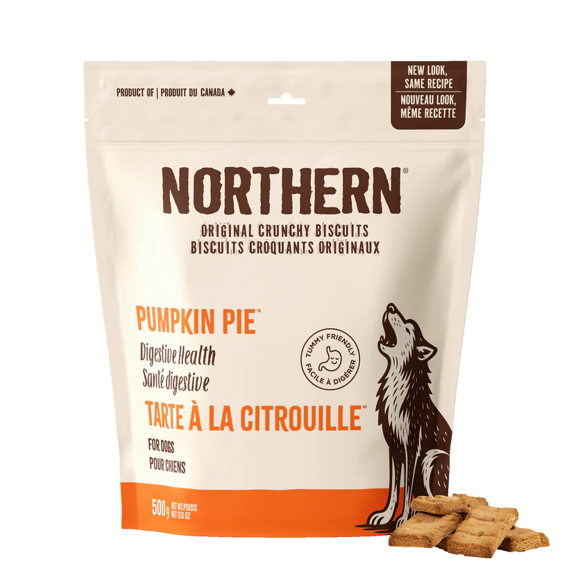Northern Biscuit Pumpkin Pie