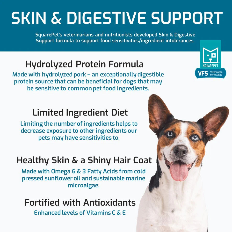 Square Pet Dog Skin & Digestive Support (Teal)