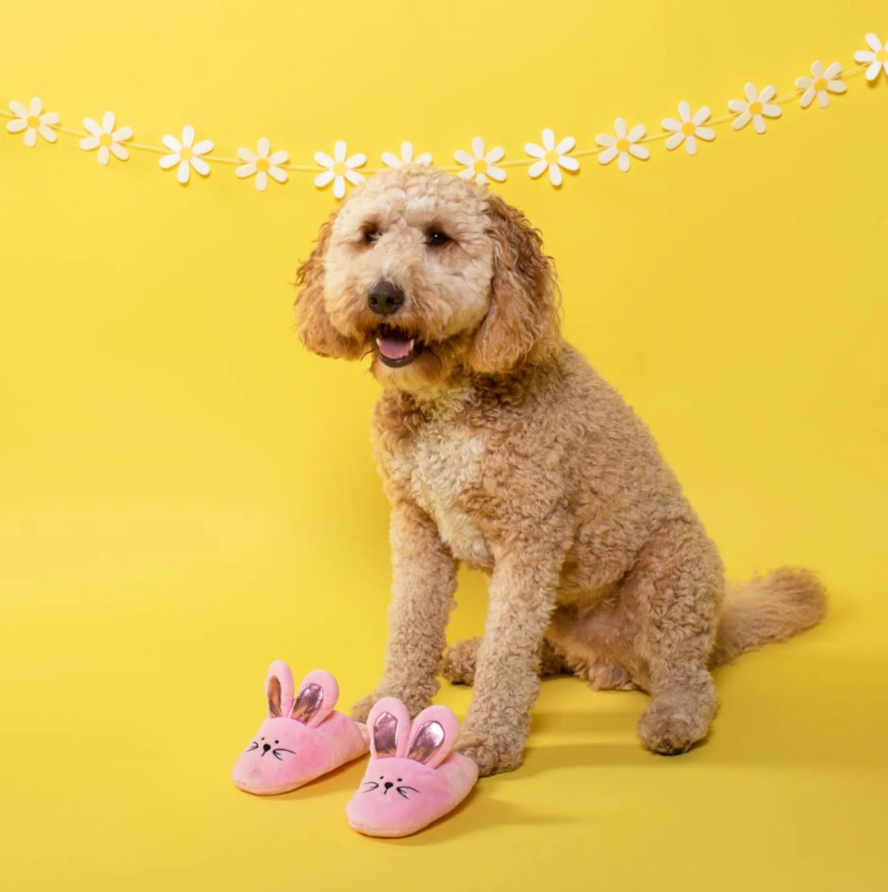Fringe Dog Toy Easter Bunny Slippers