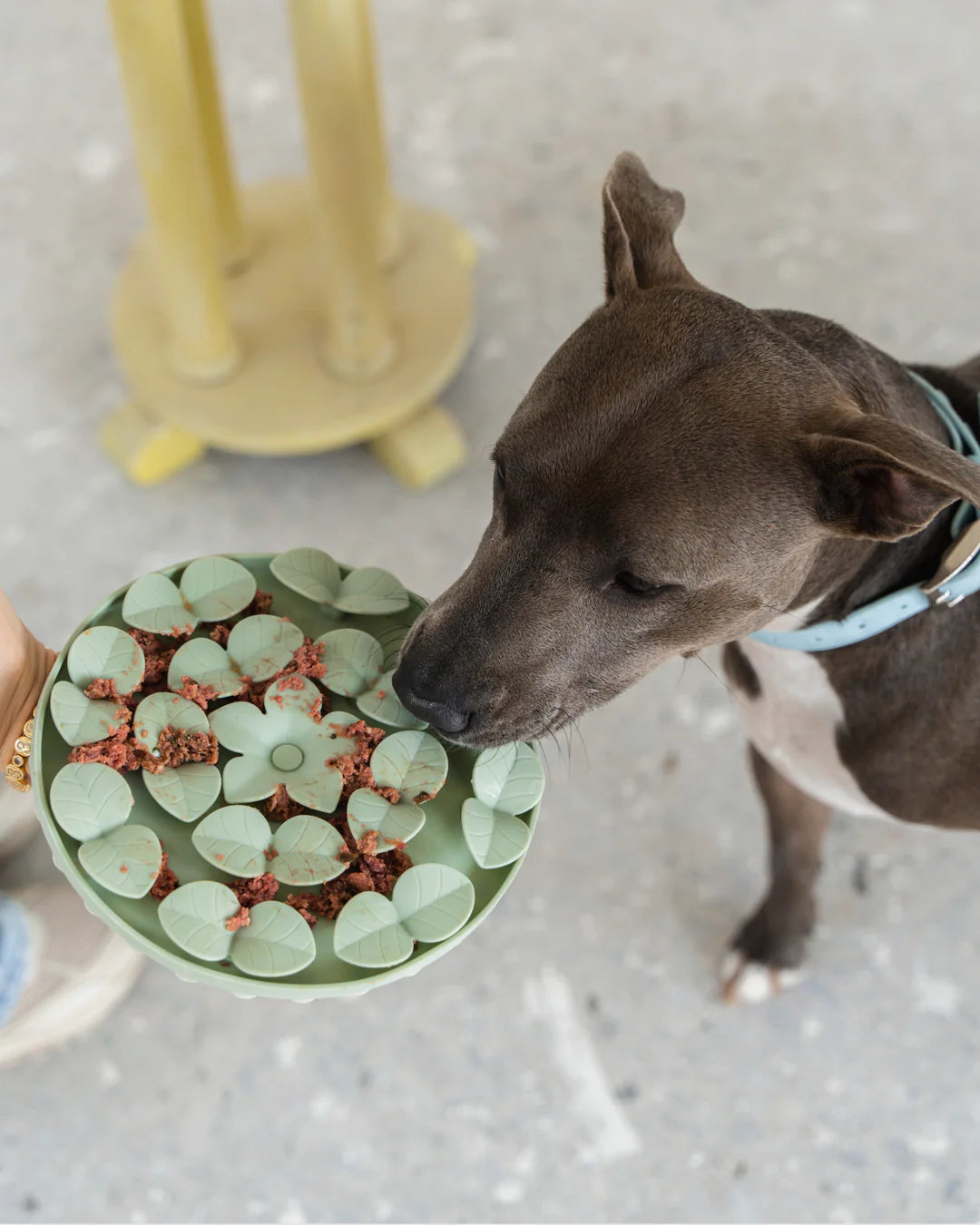 Dexypaws Dog Snuffle Mat Silicone