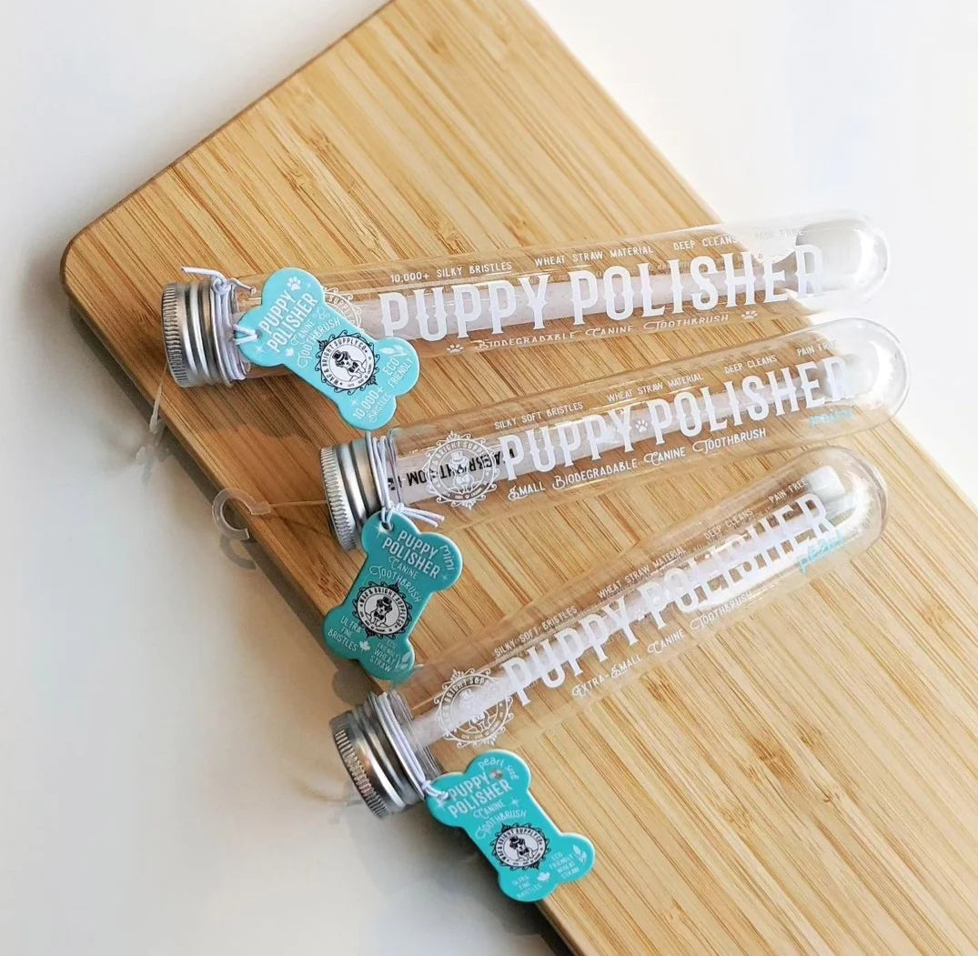 Wag & Bright Puppy Polisher Eco Toothbrush FINAL SALE